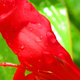 Image for article titled Complementary Colors 1